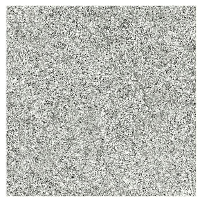 Tau ceramica Keramische tegel Roadstone Silver (60 x 60 cm, Silver, Mat) | BAUHAUS