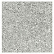 Tau ceramica Keramische tegel Roadstone Silver (60 x 60 cm, Silver, Mat) | BAUHAUS