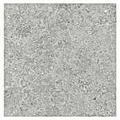Tau ceramica Keramische tegel Roadstone Silver (60 x 60 cm, Silver, Mat) | BAUHAUS
