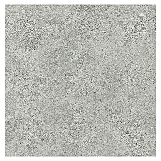 Tau ceramica Keramische tegel Roadstone Silver (60 x 60 cm, Silver, Mat)