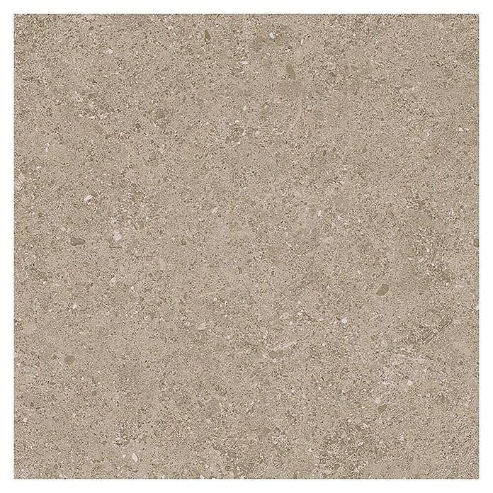 Tau ceramica Keramische tegel Roadstone Tan (60 x 60 cm, Tan, Mat) | BAUHAUS