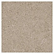 Tau ceramica Keramische tegel Roadstone Tan (60 x 60 cm, Tan, Mat) | BAUHAUS