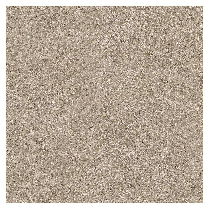 Tau ceramica Keramische tegel Roadstone Tan (60 x 60 cm, Tan, Mat) | BAUHAUS