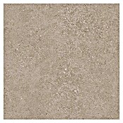 Tau ceramica Keramische tegel Roadstone Tan (60 x 60 cm, Tan, Mat) | BAUHAUS