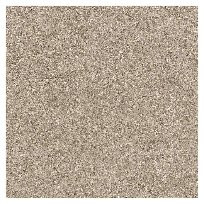 Tau ceramica Keramische tegel Roadstone Tan (60 x 60 cm, Tan, Mat) | BAUHAUS