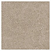 Tau ceramica Keramische tegel Roadstone Tan (60 x 60 cm, Tan, Mat) | BAUHAUS