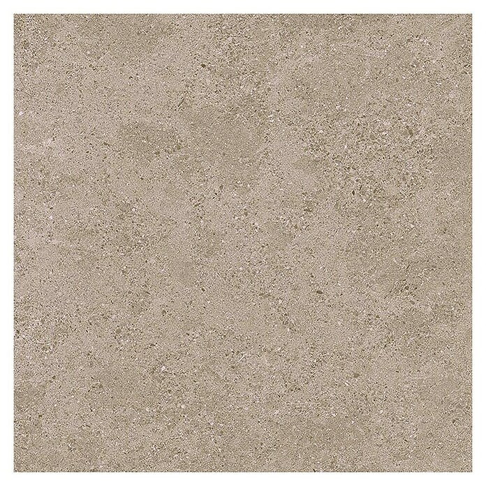 Tau ceramica Keramische tegel Roadstone Tan (60 x 60 cm, Tan, Mat) | BAUHAUS