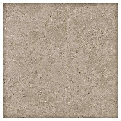 Tau ceramica Keramische tegel Roadstone Tan (60 x 60 cm, Tan, Mat) | BAUHAUS