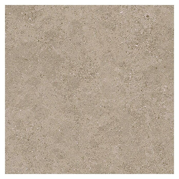 Tau ceramica Keramische tegel Roadstone Tan (60 x 60 cm, Tan, Mat) | BAUHAUS
