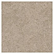 Tau ceramica Keramische tegel Roadstone Tan (60 x 60 cm, Tan, Mat) | BAUHAUS