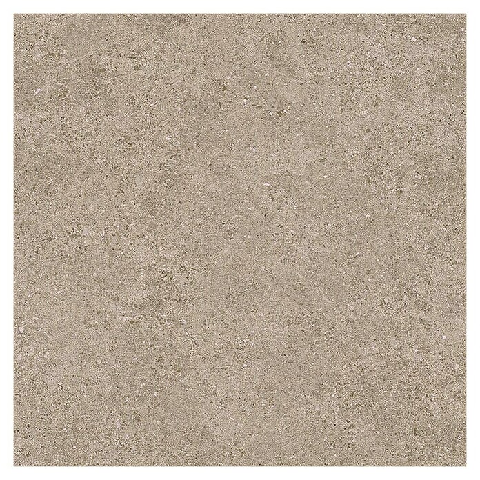 Tau ceramica Keramische tegel Roadstone Tan (60 x 60 cm, Tan, Mat) | BAUHAUS
