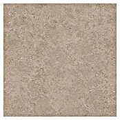 Tau ceramica Keramische tegel Roadstone Tan (60 x 60 cm, Tan, Mat) | BAUHAUS