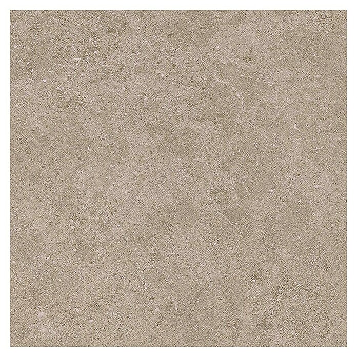Tau ceramica Keramische tegel Roadstone Tan (60 x 60 cm, Tan, Mat) | BAUHAUS