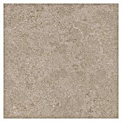 Tau ceramica Keramische tegel Roadstone Tan (60 x 60 cm, Tan, Mat) | BAUHAUS