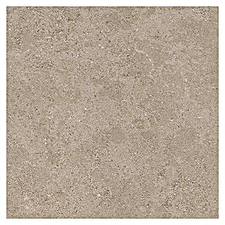Tau ceramica Keramische tegel Roadstone Tan (60 x 60 cm, Tan, Mat)