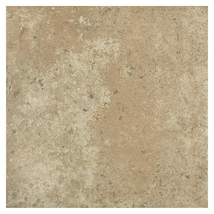 Myth Age Keramische tegel Aitana Marron (33,3 x 33,3 cm, Marron, Mat) | BAUHAUS