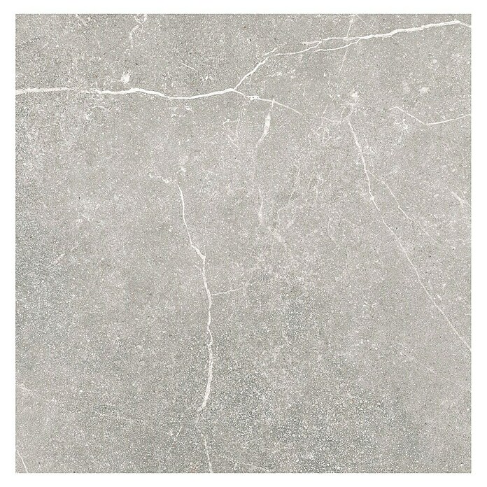 Tau ceramica Keramische tegel Soapstone Silver (60 x 60 cm, Silver, Mat) | BAUHAUS
