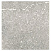 Tau ceramica Keramische tegel Soapstone Silver (60 x 60 cm, Silver, Mat) | BAUHAUS