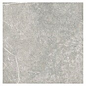 Tau ceramica Keramische tegel Soapstone Silver (60 x 60 cm, Silver, Mat) | BAUHAUS