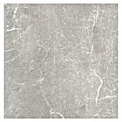 Tau ceramica Keramische tegel Soapstone Silver (60 x 60 cm, Silver, Mat) | BAUHAUS