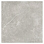 Tau ceramica Keramische tegel Soapstone Silver (60 x 60 cm, Silver, Mat) | BAUHAUS