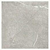 Tau ceramica Keramische tegel Soapstone Silver (60 x 60 cm, Silver, Mat) | BAUHAUS