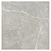 Tau ceramica Keramische tegel Soapstone Silver (60 x 60 cm, Silver, Mat) | BAUHAUS
