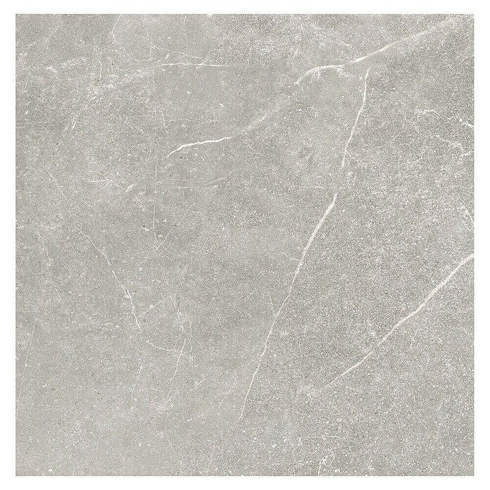 Tau ceramica Keramische tegel Soapstone Silver (60 x 60 cm, Silver, Mat) | BAUHAUS