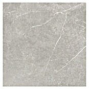 Tau ceramica Keramische tegel Soapstone Silver (60 x 60 cm, Silver, Mat) | BAUHAUS