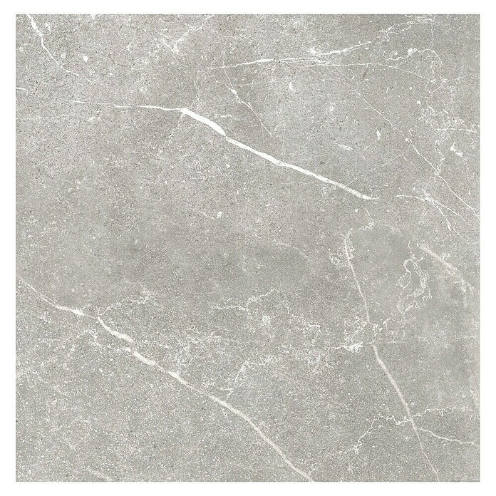 Tau ceramica Keramische tegel Soapstone Silver (60 x 60 cm, Silver, Mat) | BAUHAUS