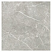 Tau ceramica Keramische tegel Soapstone Silver (60 x 60 cm, Silver, Mat) | BAUHAUS