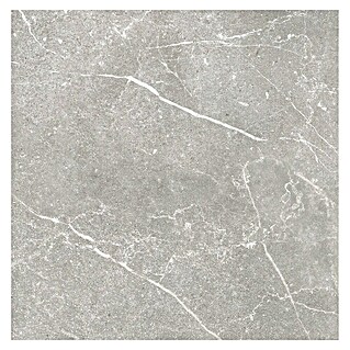 Tau ceramica Keramische tegel Soapstone Silver (60 x 60 cm, Silver, Mat)
