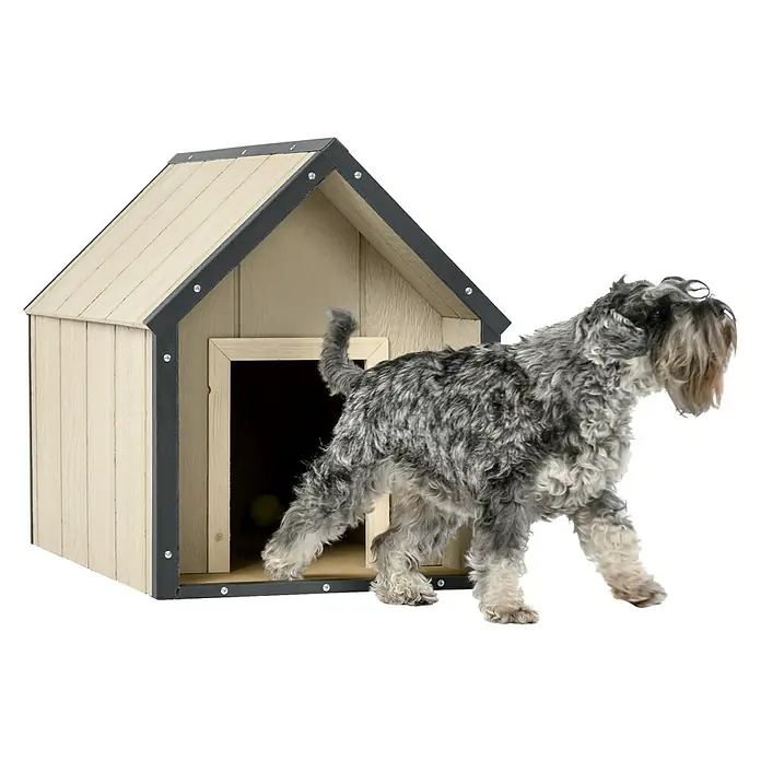 Timbela Hundehütte SMARTSIDE M M971-1 - 93 x 54 x 68 cm - Ein Zwergschnauzer verlässt ein helles Holz-Hundehaus mit dunkelgrauen Akzenten. Innen befindet sich ein Tennisball.