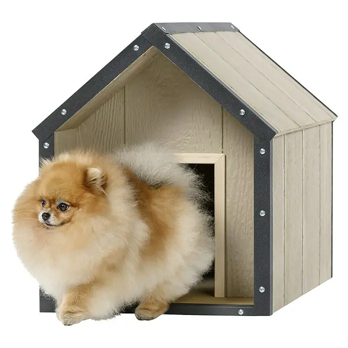 Timbela Hundehütte M970-1 LP SmartSide - 72 x 45 x 58 cm - Ein entzückender Pomeranian verlässt sein gemütliches, hellbraunes Hundehaus, das mit dunkelgrauen Akzenten versehen ist.