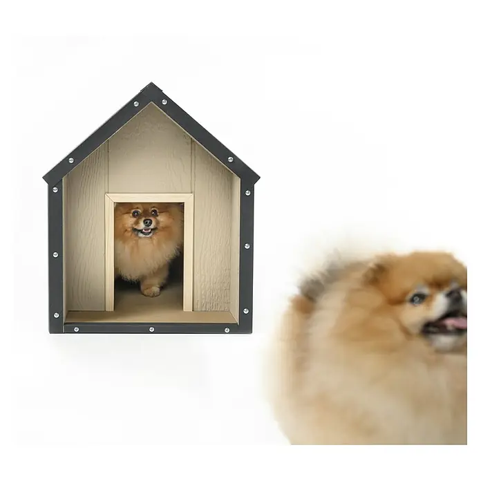 Timbela Hundehütte M970-1 LP SmartSide - 72 x 45 x 58 cm - Ein süßer Pomeranian sitzt in einem Hausförmigen Regal, ein weiterer Pomeranian ist verschwommen im Vordergrund zu sehen.