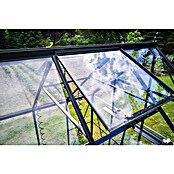 Halls Gewächshaus Icon 8 Blankglas (Außenmaß inkl. Dachüberstand (B x T): 254,7 x 316,9 cm, Material Seitenwand: Glas, 3 mm, Schwarz) | BAUHAUS