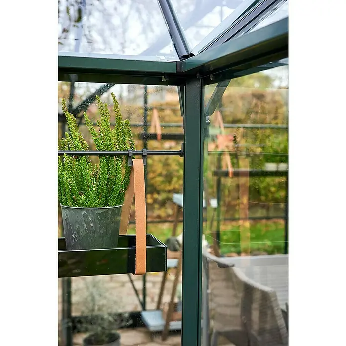 Halls Gewächshaus Icon Gardenhouse - Außenmaß inkl. Dachüberstand (B x T): 383,9 x 381,5 cm, Material Seitenwand: Glas, 3 mm, Grün - Nahaufnahme eines grünen Gewächshauses mit einer Pflanze in einem Topf, der an einem Regal hängt, das mit Lederriemen befestigt ist.