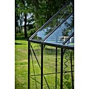Halls Gewächshaus Icon 8 Blankglas (Außenmaß inkl. Dachüberstand (B x T): 254,7 x 316,9 cm, Material Seitenwand: Glas, 3 mm, Schwarz) | BAUHAUS
