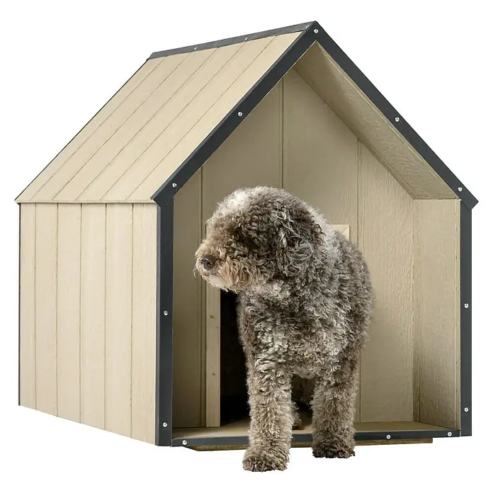 Timbela Hundehütte M972-1 LP SmartSide - 116 x 77 x 94 cm - Ein mittelgroßer, lockiger Hund steht vor einer hellbraunen Hundehütte mit schwarzem Rahmen. Die Hütte bietet Schutz und Komfort für das Tier.