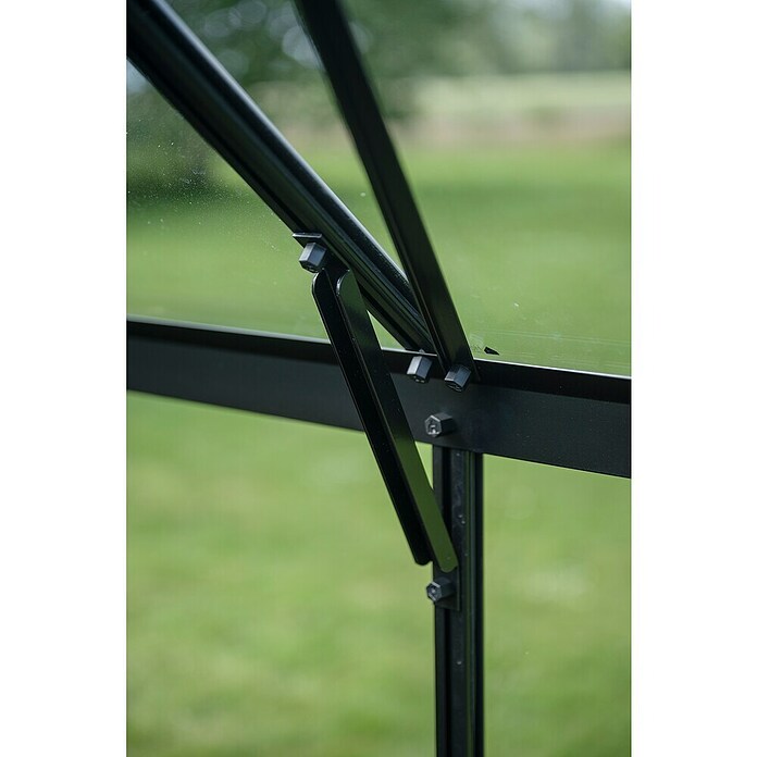 Halls Gewächshaus Icon 8 Blankglas (Außenmaß inkl. Dachüberstand (B x T): 254,7 x 316,9 cm, Material Seitenwand: Glas, 3 mm, Schwarz) | BAUHAUS