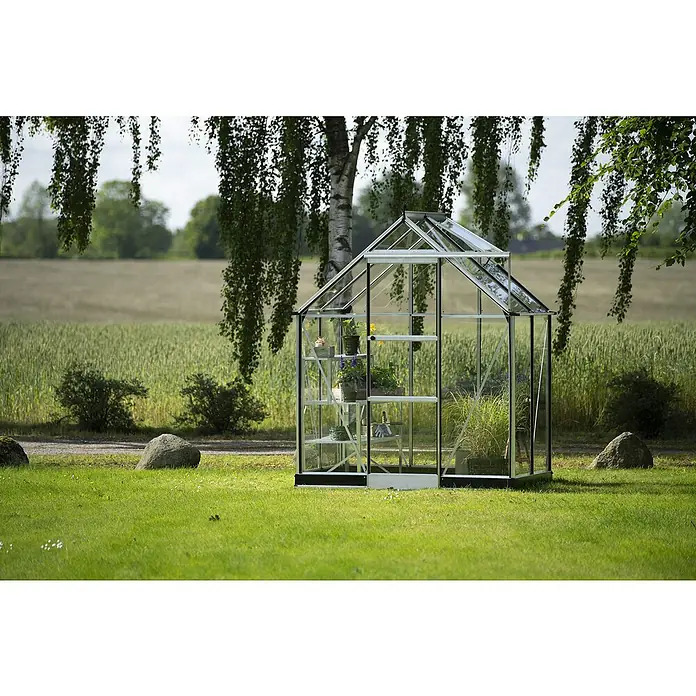 Halls Gewächshaus Icon 6 Einscheiben-Sicherheitsglas - Außenmaß inkl. Dachüberstand (B x T): 192,5 x 130,3 cm, Material Seitenwand: Glas, 3 mm, Aluminium - Ein Gewächshaus aus Glas und Metall steht in einem Garten mit grüner Wiese und Bäumen im Hintergrund. Das Gewächshaus ist mit Pflanzen bestückt.