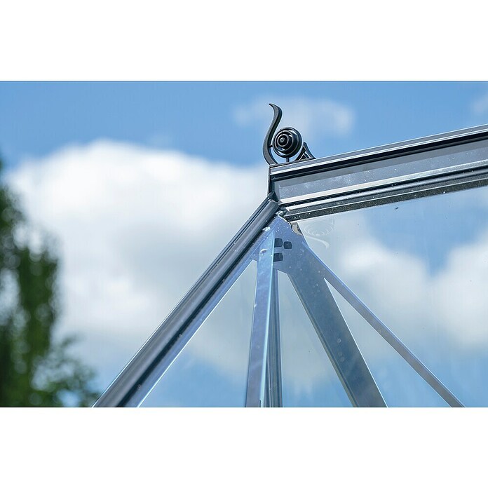 Halls Gewächshaus Icon 8 Blankglas (Außenmaß inkl. Dachüberstand (B x T): 254,7 x 379,1 cm, Material Seitenwand: Glas, 3 mm, Aluminium) | BAUHAUS