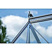 Halls Gewächshaus Icon 8 Blankglas (Außenmaß inkl. Dachüberstand (B x T): 254,7 x 379,1 cm, Material Seitenwand: Glas, 3 mm, Aluminium) | BAUHAUS