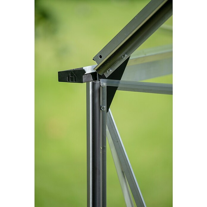 Halls Gewächshaus Icon 8 Blankglas (Außenmaß inkl. Dachüberstand (B x T): 254,7 x 379,1 cm, Material Seitenwand: Glas, 3 mm, Aluminium) | BAUHAUS