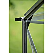Halls Gewächshaus Icon 8 Blankglas (Außenmaß inkl. Dachüberstand (B x T): 254,7 x 379,1 cm, Material Seitenwand: Glas, 3 mm, Aluminium) | BAUHAUS