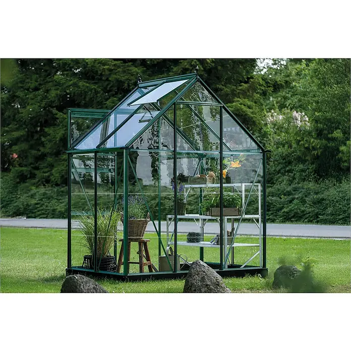 Halls Gewächshaus Icon 6 Blankglas - Außenmaß inkl. Dachüberstand (B x T): 192,5 x 130,3 cm, Material Seitenwand: Glas, 3 mm, Grün - Detailansicht eines Gewächshauses mit Pflanzenregal und Dekorationen, eingebettet in eine grüne Gartenlandschaft.
