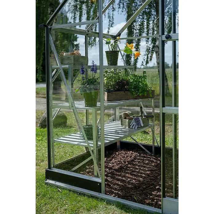 Halls Gewächshaus Icon 6 Einscheiben-Sicherheitsglas - Außenmaß inkl. Dachüberstand (B x T): 192,5 x 130,3 cm, Material Seitenwand: Glas, 3 mm, Aluminium - Nahaufnahme eines Gewächshauses mit Pflanzen auf Regalen und Mulch auf dem Boden, das Pflanzenwachstum fördert.