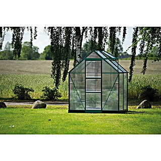 Halls Gewächshaus Icon 6 Stegdoppelplatten (Außenmaß inkl. Dachüberstand (B x T): 192,5 x 130,3 cm, Material Seitenwand: Glas, 4 mm, Grün)