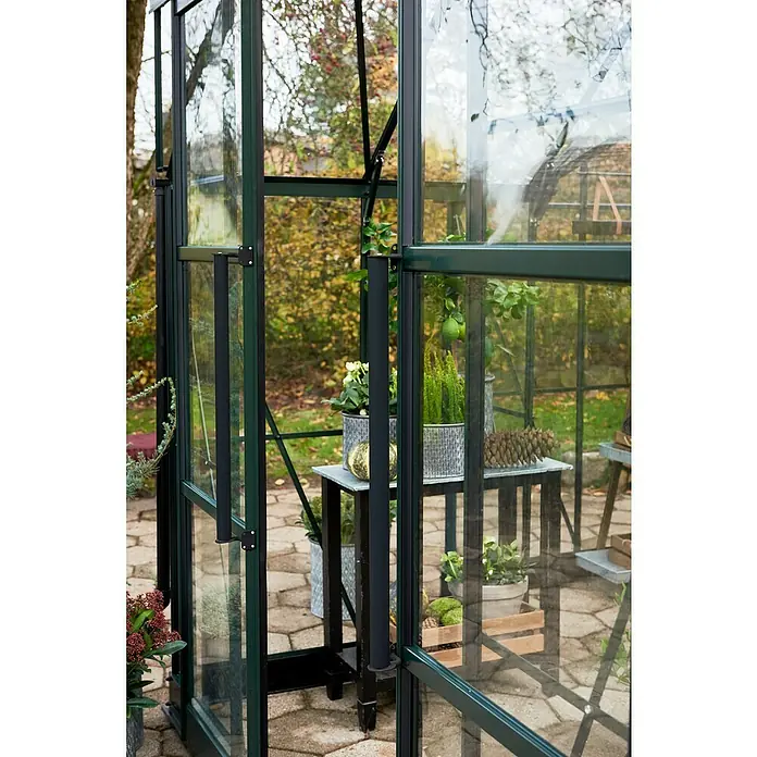 Halls Gewächshaus Icon Gardenhouse - Außenmaß inkl. Dachüberstand (B x T): 383,9 x 381,5 cm, Material Seitenwand: Glas, 3 mm, Grün - Detailansicht eines Gewächshauses mit Glaswänden und dunklem Rahmen, das Pflanzen und Gartenaccessoires beherbergt.