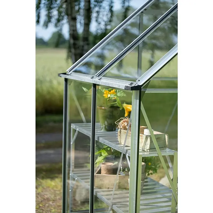 Halls Gewächshaus Icon 6 Einscheiben-Sicherheitsglas - Außenmaß inkl. Dachüberstand (B x T): 192,5 x 130,3 cm, Material Seitenwand: Glas, 3 mm, Aluminium - Nahaufnahme eines Gewächshauses mit Regalen, auf denen Pflanzen und Gartengeräte stehen. Der Fokus liegt auf dem Gewächshausdesign.